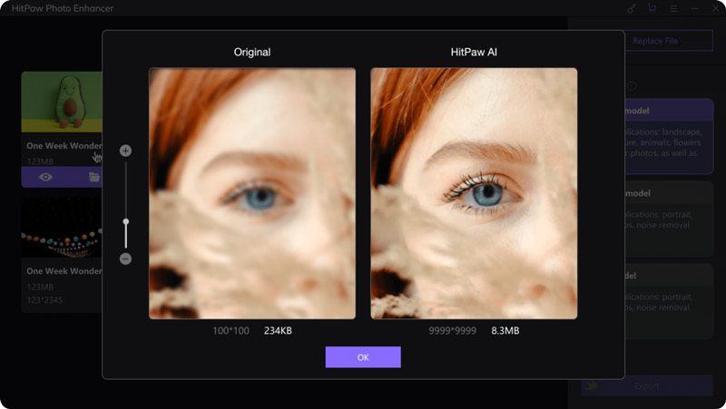HitPaw Photo Enhancer 1.2.3.21