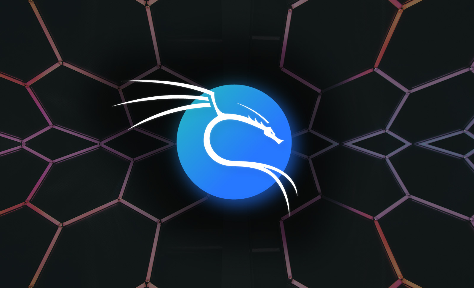 Kali Linux 2022.3 x86/x64