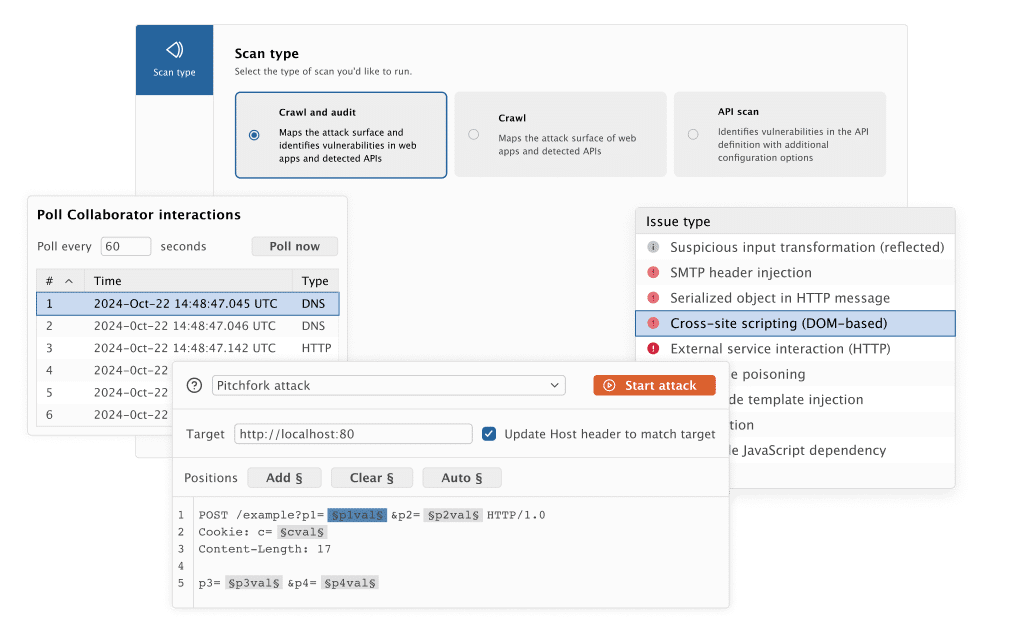 Burp Suite Professional 2022.8.4
