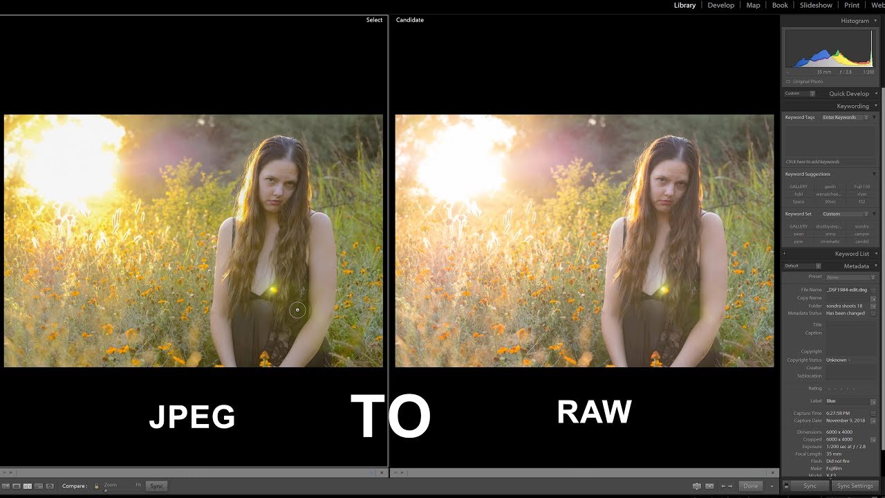 Topaz JPEG to RAW AI 2.2.1
