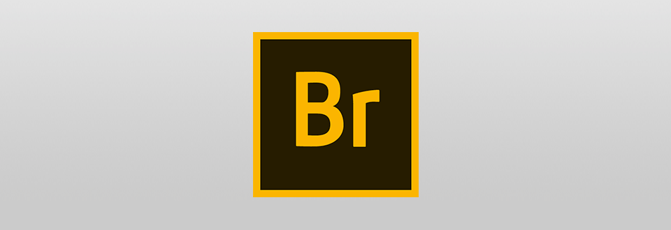 Adobe Bridge 2022 v12.0.3.270 (x64)